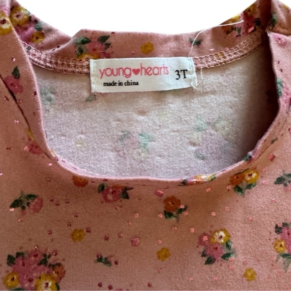 Bundle 3T Toddler Girls 6PC Set Lot Dresses Short Sleeve Top Shorts Summer - Picture 5 of 14